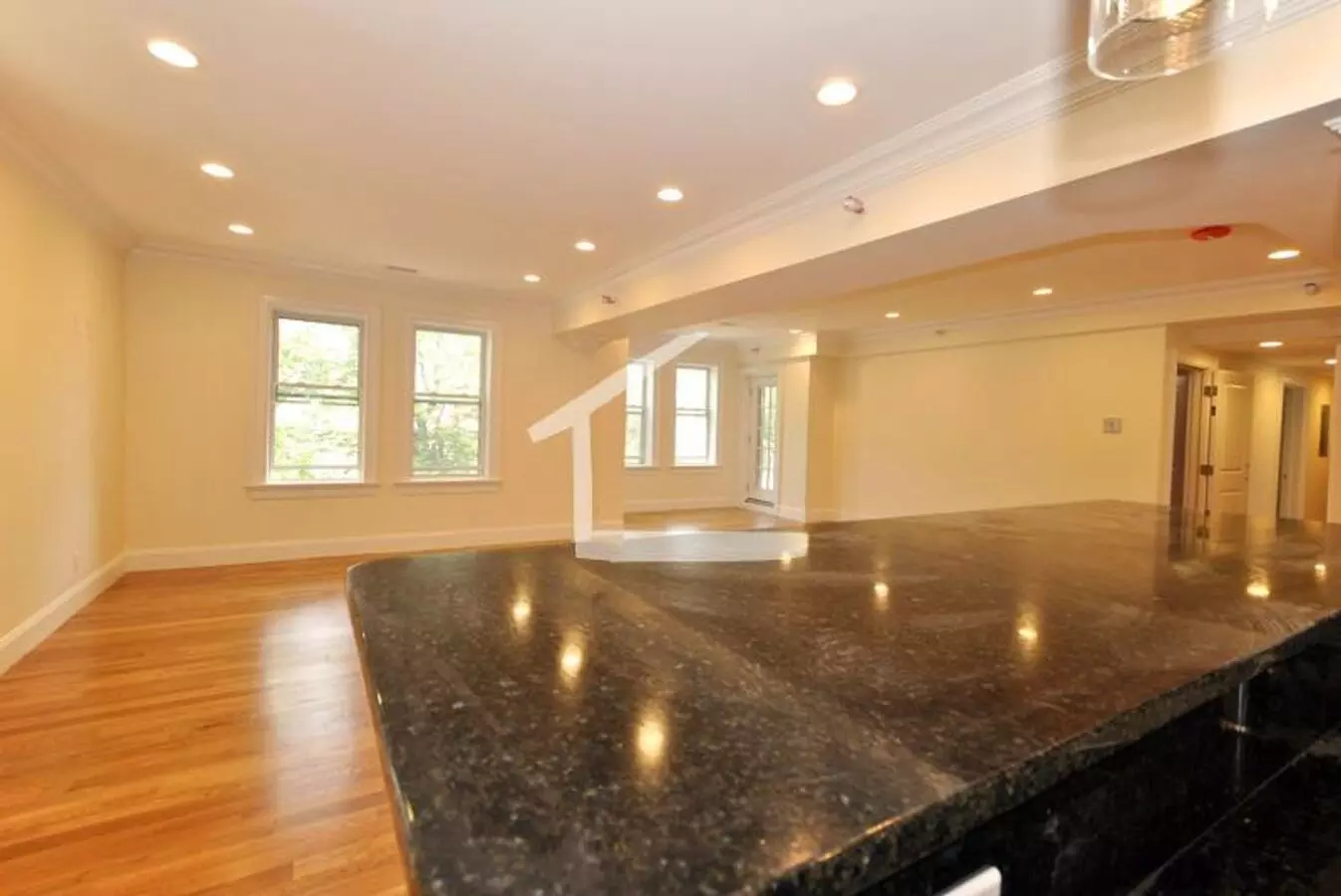 Must-see Unit In Brookline, High-end Kitchen Appliances, Central Ac, In-unit Washer/dryer Apartment for rent in Brookline, MA