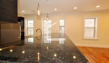 3 of 14 Must-see Unit In Brookline, High-end Kitchen Appliances, Central Ac, In-unit Washer/dryer Apartment for rent in Brookline, MA