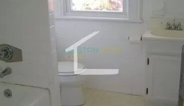 3 of 11 Single-family House For Rent In Allston, Walk To Bu Campus, In-unit Washer And Dryer, Parking For Rent House for rent in Boston, MA