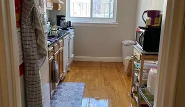 3 of 7 No Fee Promo Expires Soon! Updated Apt W Ht/hw Included Near T! Cat Friendly Apartment for rent in Boston, MA