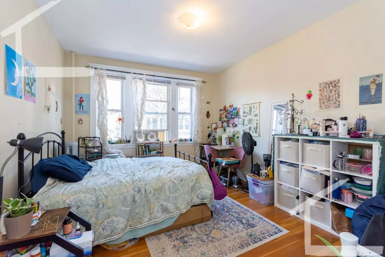 $500 Rebate Upon Closing! Affordable Brookline Apt For Grads And Working Pros! Huge Rooms, Beautiful Street. Updated Appliances. Apartment for rent in Brookline, MA