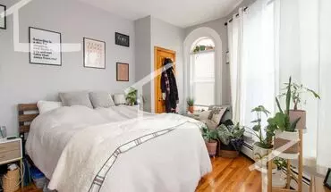 2 of 37 Sunny 2-bed Near B/c/d Lines Apartment for rent in Newton, MA