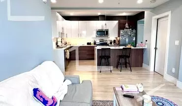 5 of 18 Beautiful Brand New 4 Bed 2 Bath In Brookline!!!!! House for rent in Brookline, MA