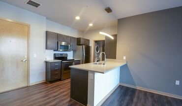 Factory District Apartment for rent in Madison, WI