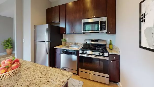 482 W. Deming Apartment for rent in Chicago, IL