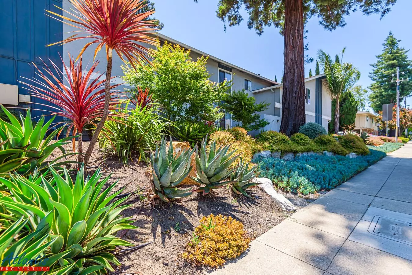 Lovely Condo | Private Yard | Prime Location Apartment for rent in Mountain View, CA