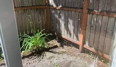3 of 18 Courtyard On Stark Apartment for rent in Portland, OR