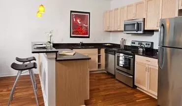 5 of 30 Lofty Apartments Apartment for rent in Richmond, VA