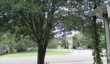3 of 19 2197 Delta Way Townhouse for rent in Tallahassee, FL