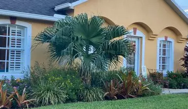 2 of 11 Vero Beach / Sebastian 3/2 House for rent in Vero Beach, FL