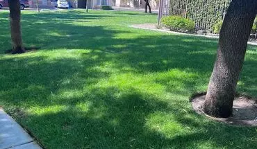4 of 31 10456 Coyote Cub Ave House for rent in Las Vegas, NV