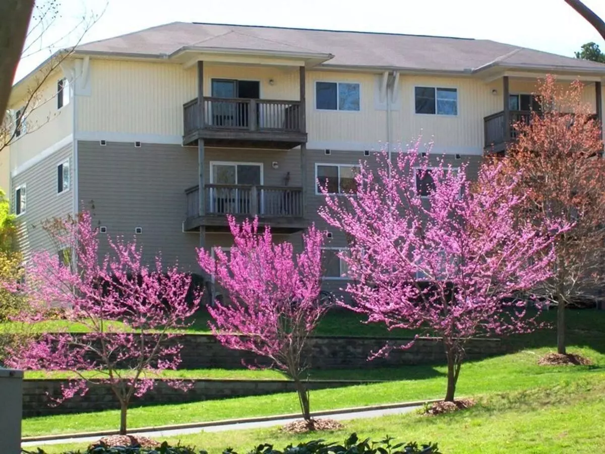 B-24 University Commons Apartment for rent in Chapel Hill, NC