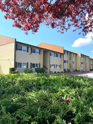 R45a Laurel Court Apts. Apartment for rent in Lakewood, WA R45a Laurel Court Apts. Apartment for rent in Lakewood, WA