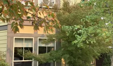 2 of 18 545 A St Apartment for rent in Ashland, OR