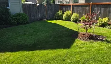 3 of 32 Beautiful 3 Bedroom Off Gilham House for rent in Eugene, OR