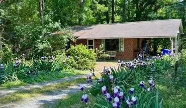 2 of 12 Charming Ranch In Carrboro With Beautiful Backyard! House for rent in Carrboro, NC