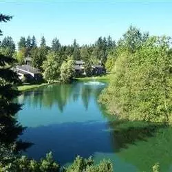 Brand New Remodeled Studio In Heart Of Redmond Apartment for rent in Redmond, WA Brand New Remodeled Studio In Heart Of Redmond Apartment for rent in Redmond, WA