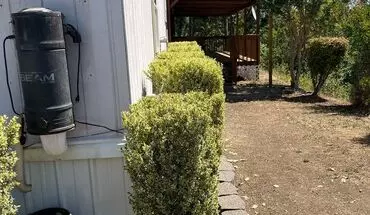 5 of 27 1267 Yokum Rd House for rent in Riddle, OR