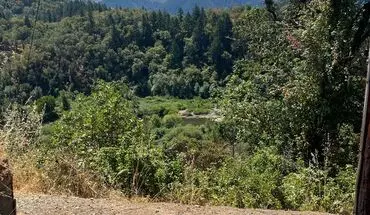 3 of 27 1267 Yokum Rd House for rent in Riddle, OR