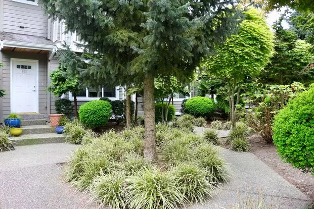 Caldwell Townhomes Apartment for rent in Seattle, WA