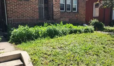 2 of 64 440-442 Clarkson Apartment for rent in Denver, CO