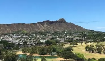3 of 12 2916 Date Street #14E Apartment for rent in Honolulu, HI