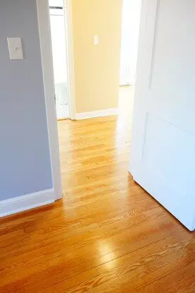 907 Hudson Ave Apartment for rent in Takoma Park, MD