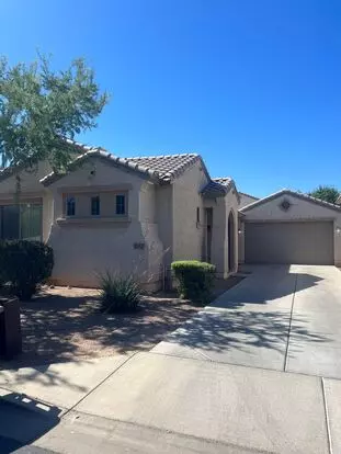 Queen Creek Rental Apartment for rent in Queen Creek, AZ