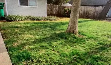 2 of 8 Greenwood Estates Has A Unique, 2 Bedroom 1 Bath Apartment With A Backyard And Garage! Apartment for rent in Chico, CA
