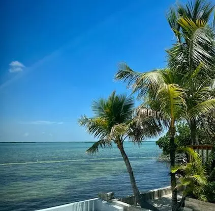55-431 Boca Chica Apartment for rent in Key West, FL
