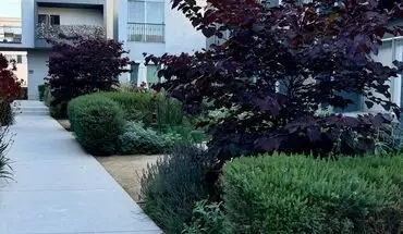 3 of 28 4617 Willis Ave Apartment for rent in Sherman Oaks, CA