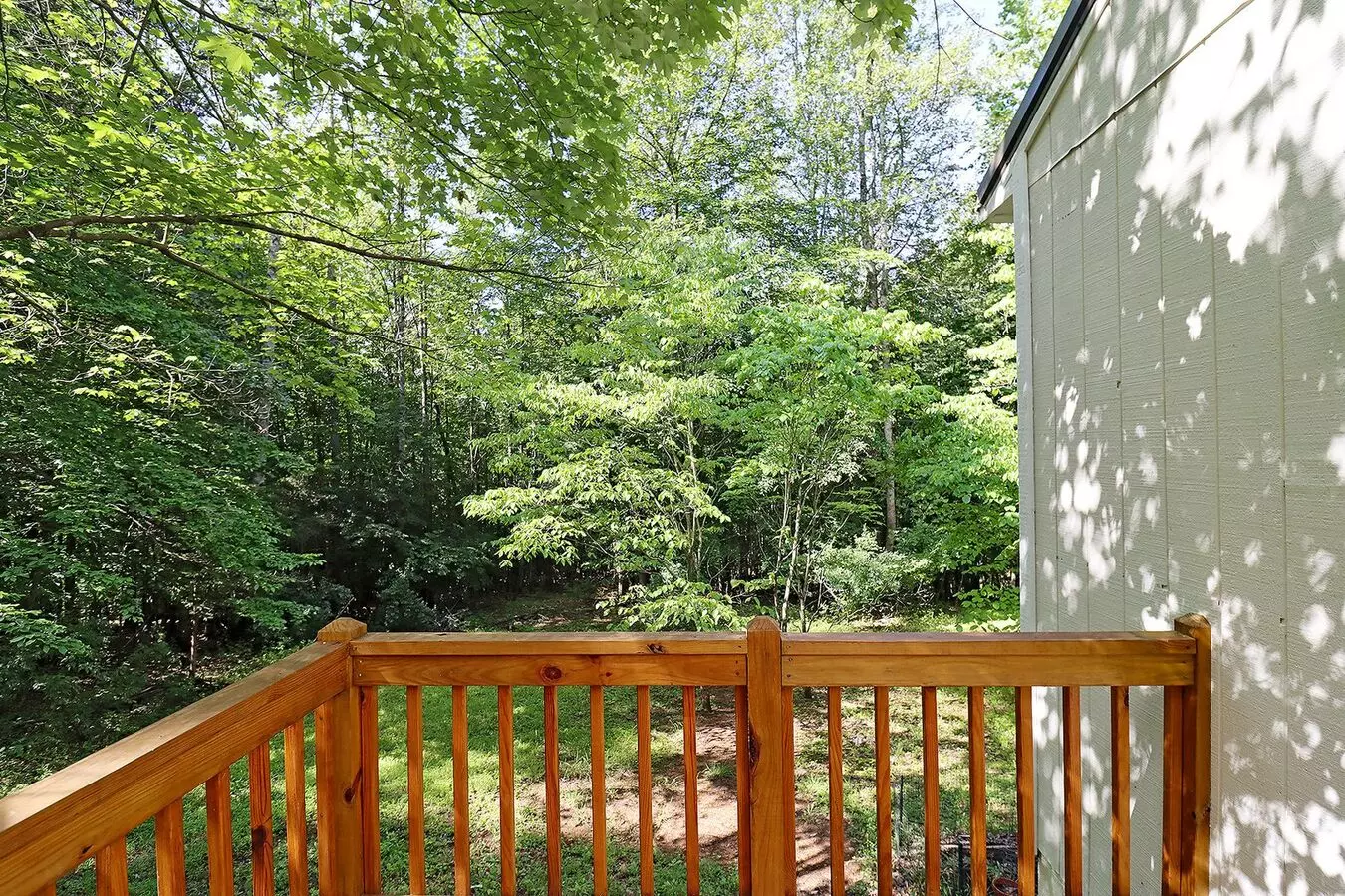 Pet-friendly Crozet Cottage In A Private Wooded Setting House for rent in Charlottesville, VA