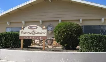 5 of 26 Welcome To Tamarack Gardens! Located In The Heart Of Sunnyvale Apartment for rent in Sunnyvale, CA