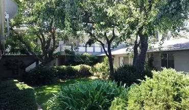 2 of 11 0203 - Whitney Apartment for rent in Mountain View, CA