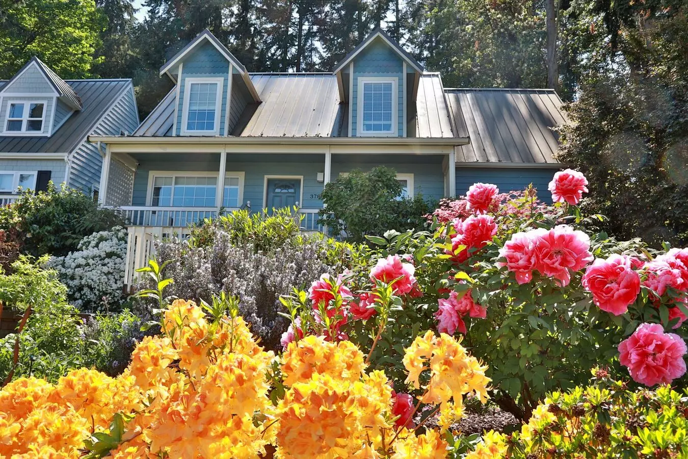 Stunning View With This Cape Cod Cottage In Langley! House for rent in Langley, WA