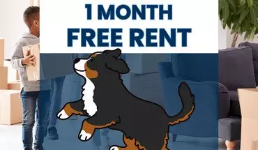 5 of 51 Terrific Home For Rent In Birmingham!!!! Available Now! Rent Reduction!! Sign A 13 Month Lease By 9/30/25 To Receive One Month Free Rent!! Conditions Apply - Free Month To Be Determined At Landlord's Discretion Based On Tenant's Lease Start Date. House for rent in Birmingham, AL