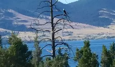 2 of 63 Lake Front Property With Orchard--desire Lease October 2025 Thru May 31st 2026 (some Flexibility In Dates) House for rent in Elmo, MT