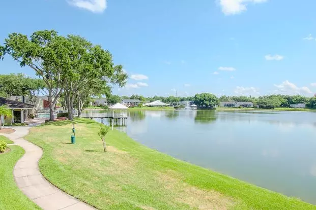 Newly Remolded - Lake Front - Corner Unit - 1 Bedroom W/ Den & 1 Bathroom For Lease In Brandon, Fl Apartment for rent in Brandon, FL