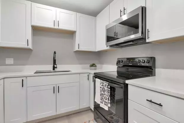 Totally Remodeled Duplex W/ New Fenced Backyard In Brandon Apartment for rent in Brandon, FL