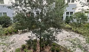 4 of 10 The Grande Downtown Apartment for rent in Orlando, FL