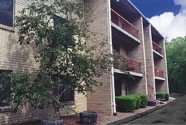 Laurel Ridge Apartment for rent in Pittsburgh, PA