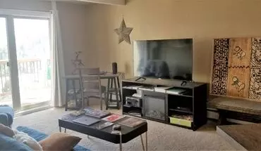 3 of 21 2414 Ryan Gulch Ct House for rent in Silverthorne, CO