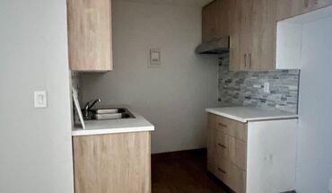 110 Luxury Apartments Llc Apartment for rent in Los Angeles, CA