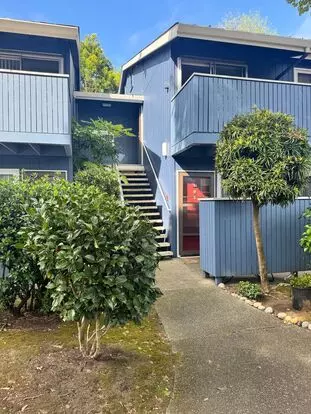 Top-floor Studio At Peninsula Place - San Bruno Apartment for rent in San Bruno, CA