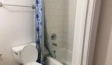 2 of 42 535 Pierce St House for rent in Albany, CA