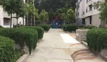 4 of 42 535 Pierce St House for rent in Albany, CA