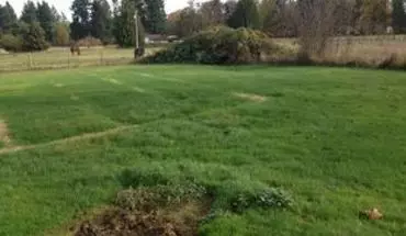 4 of 6 4538 Wiggins Rd House for rent in Lacey, WA
