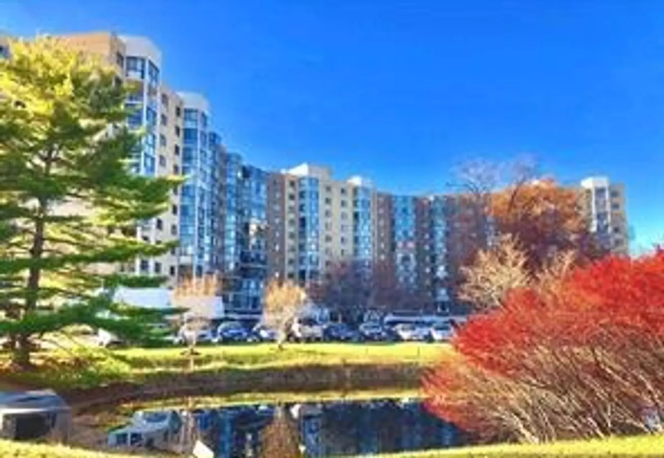 Large 2br 2ba 7th Floor Condo Facing The Gold Course And Tree Line (leisure World 55+ Community) Apartment for rent in Silver Spring, MD