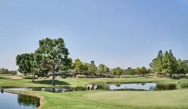 2 of 29 Coming Soon! House for rent in Phoenix, AZ