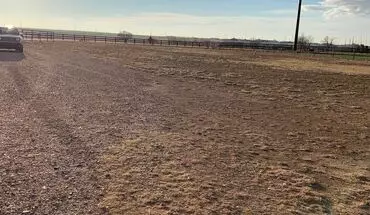 5 of 44 1004 Curry Rd House for rent in Clovis, NM